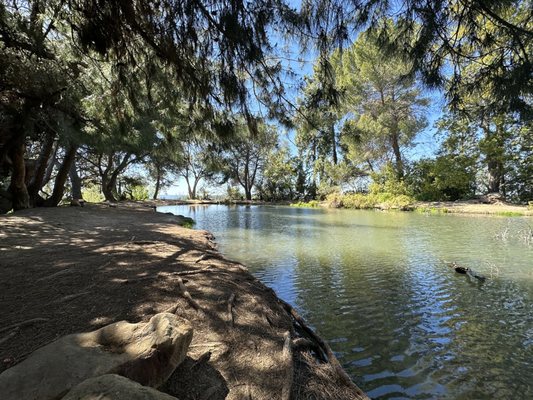 Ernest E. Debs Regional Park by null