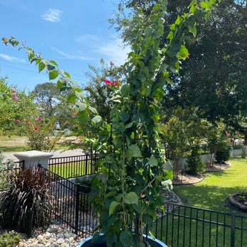 GrowJoy - Nurseries & Gardening Near Me - Berne, Indiana GrowJoy - Nurseries & Gardening Near Me - Berne, Indiana