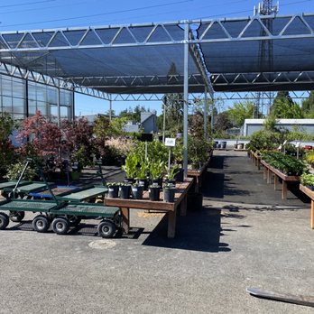 Terra Gardens Nursery & Bark - Shade plants - Nurseries & Gardening Near Me - Salem, Oregon