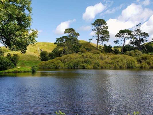 Hobbiton™ Movie Set Tours by null