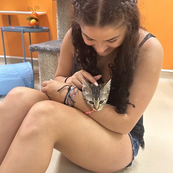 Patriot Pawsabilities - Pet Adoption Near Me - Fairfax, Virginia Patriot Pawsabilities - Pet Adoption Near Me - Fairfax, Virginia