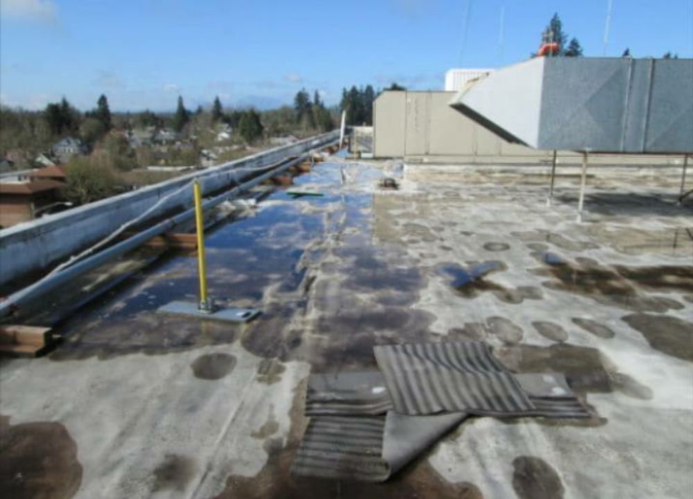 Slide of American Roofing and Paving