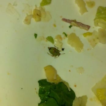 Saggios - Worst part, was we found if AFTER eating most of the salad - Italian Near Me - Albuquerque, New Mexico