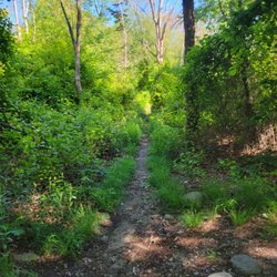 John H Chafee Nature Preserve
