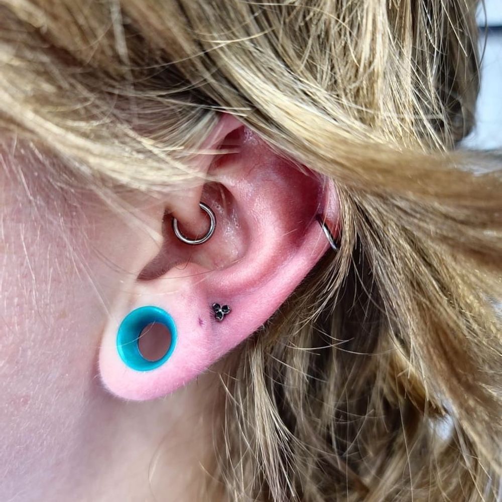 Sharkbite Piercings - Fresh piercing above ear lobe - Piercing Near Me - Placentia, California