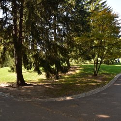 Cedar Hill