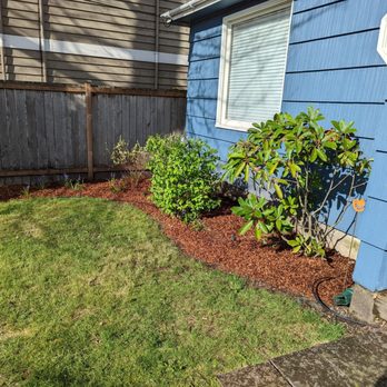 Green Leaves Trees Services and Landscaping - Tree Services Near Me - Shelton, Washington Green Leaves Trees Services and Landscaping - Tree Services Near Me - Shelton, Washington