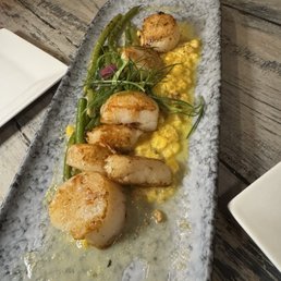 Scallops