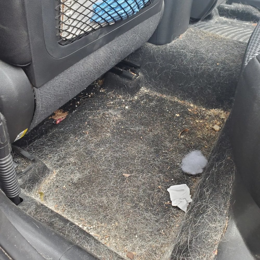 PRO MOBILE DETAILING Updated July 2024 11 Photos Newmarket, New Hampshire Auto Detailing