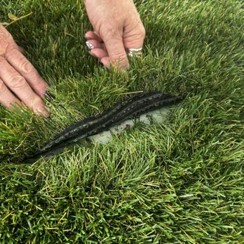FRDM Turf - The turf is coming undone after less than 6 weeks of being installed. - Artificial Turf Near Me FRDM Turf - The turf is coming undone after less than 6 weeks of being installed. - Artificial Turf Near Me
