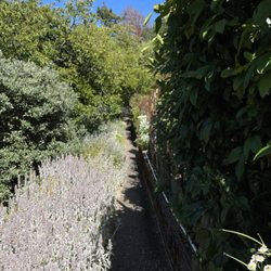 Robson-Harrington Park - Walkways (narrow)