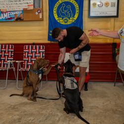The Canine Clubhaus