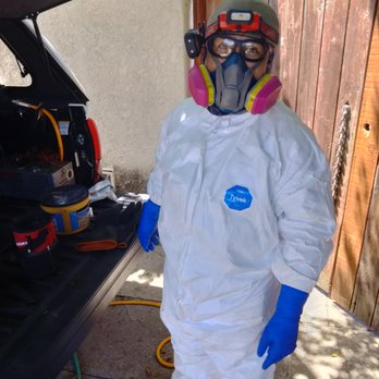 Bellbrook Pest and Termites - Pest Control Near Me