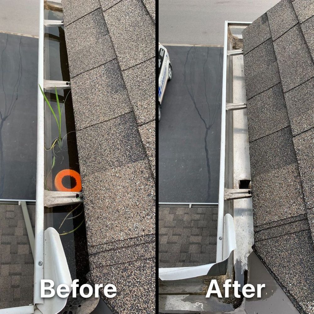 WINDOW GURU Updated May 2024 19 Photos 281 Sceptre Way