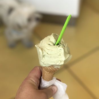La Carraia - Pistachio gelato- the server's favorite flavor and mine too. - Ice Cream & Frozen Yogurt Near Me - Florence, FI La Carraia - Pistachio gelato- the server's favorite flavor and mine too. - Ice Cream & Frozen Yogurt Near Me - Florence, FI