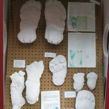 Bigfoot Discovery Museum - Bigfoot plaster casts for sale - Museums Near Me - Felton, California