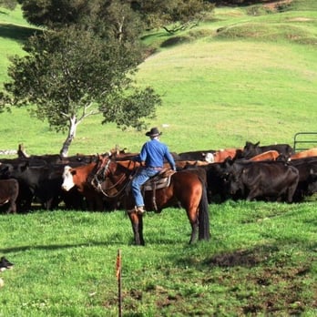 Vanoni Ranch - Venues & Event Spaces Near Me