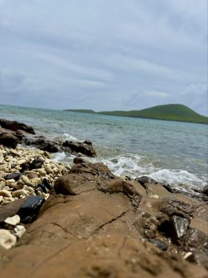 Tamarindo Beach by null