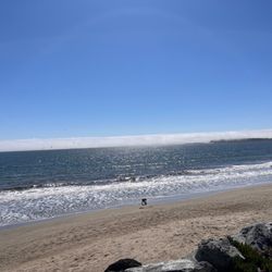 Half Moon Bay Review