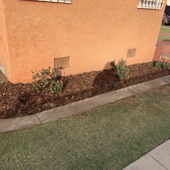 MC Landscaping - Indian Hawthrone - Landscaping Near Me - Lakewood, California MC Landscaping - Indian Hawthrone - Landscaping Near Me - Lakewood, California