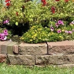 Lillian's Flowers