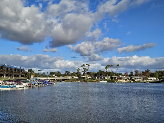 Amalfi Marina Bar (Dockside) by null