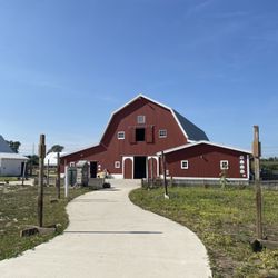 Critter Barn - The barn