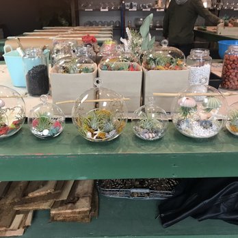 PlantHouse - Arts & Crafts Near Me - Virginia Beach, Virginia