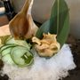 Photo of Ocean Sushi Grill