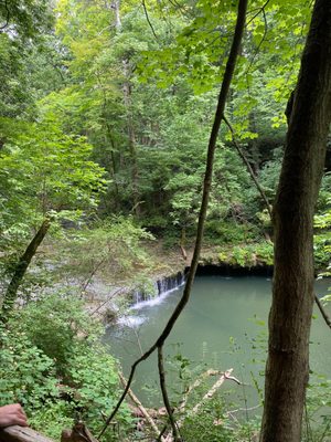 Glen Helen Nature Preserve by null