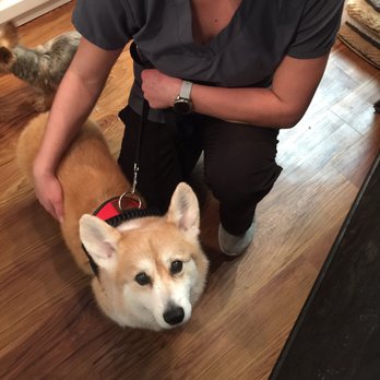 Praise the Paw - Smiling guy! - Pet Groomers Near Me - Denver, Colorado Praise the Paw - Smiling guy! - Pet Groomers Near Me - Denver, Colorado