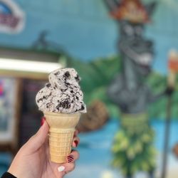 The Fat Donkey Ice Cream & Fine Desserts - My one scoop of cookies n cream