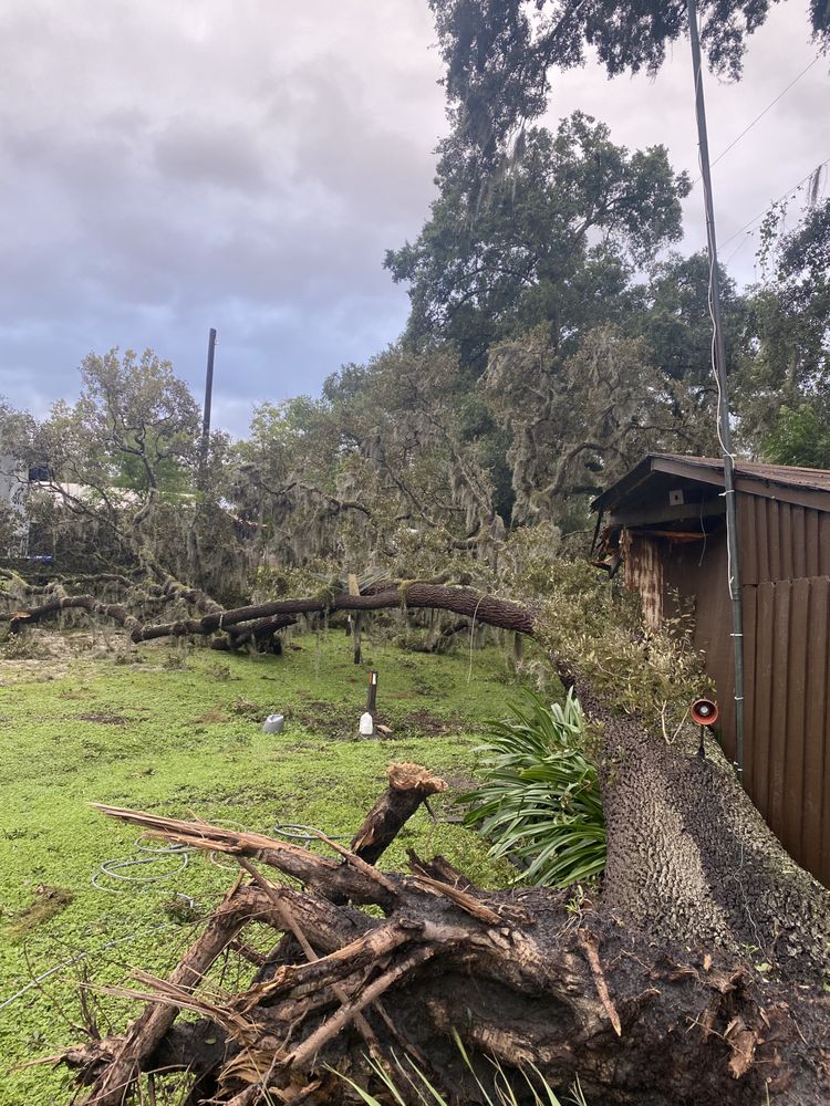 Slide of Paradise Island Services