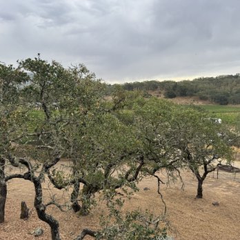 Azur Wines - The view - Wine Tasting Room Near Me - Napa, California