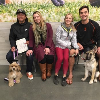 PetSmart - Pet Training Near Me - Dublin, California