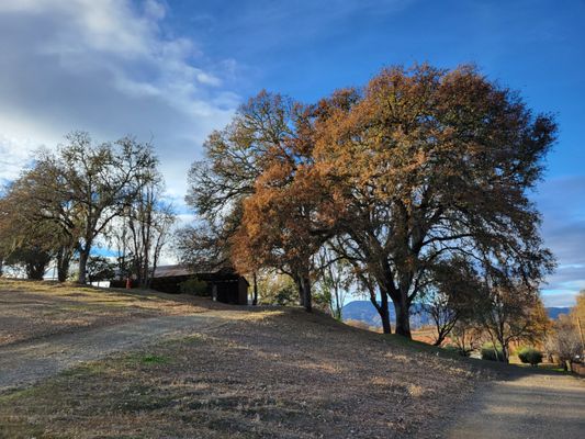 Pope Valley Winery by null