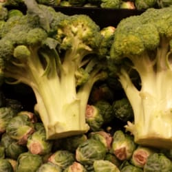 Safeway - 7/4/14 Safeway at Burke Center. Pulled the two stalks of broccoli from the "broccoli crowns" section, obviously not crowns...