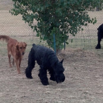 Grovers Basin Dog Park - Dog Parks Near Me - Phoenix, Arizona Grovers Basin Dog Park - Dog Parks Near Me - Phoenix, Arizona