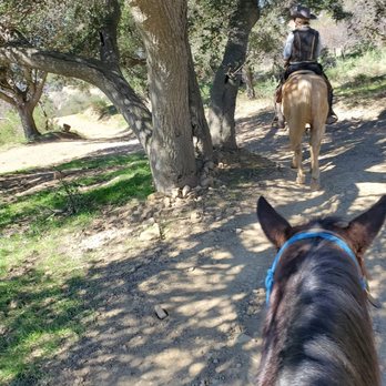 Circle Bar B Stables - Horseback Riding Near Me - Santa Barbara, California Circle Bar B Stables - Horseback Riding Near Me - Santa Barbara, California