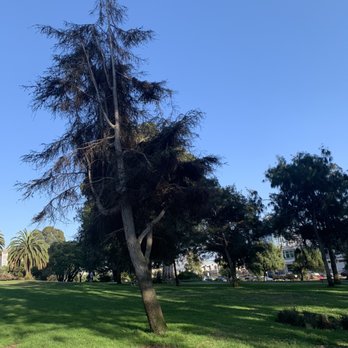 Jefferson Square Park - Dog Parks Near Me - San Francisco, California Jefferson Square Park - Dog Parks Near Me - San Francisco, California
