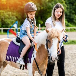 Fun Factory Parties - Kids pony party in Hidden Hills with professional handlers, trained ponies, customized setups, and personalized animal theme celebrations.