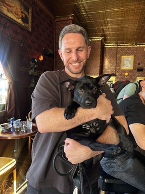 The Homestead by null The Homestead by null