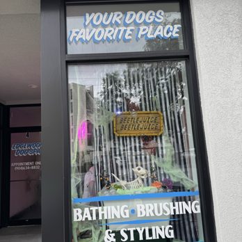 Edgewoof Dog Spa - Pet Groomers Near Me - Jacksonville, Florida Edgewoof Dog Spa - Pet Groomers Near Me - Jacksonville, Florida