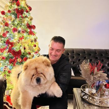 Edis Mekic - Royal LePage Tendance - Real Estate Agents Near Me Edis Mekic - Royal LePage Tendance - Real Estate Agents Near Me
