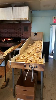 Beaubien Bagel by null