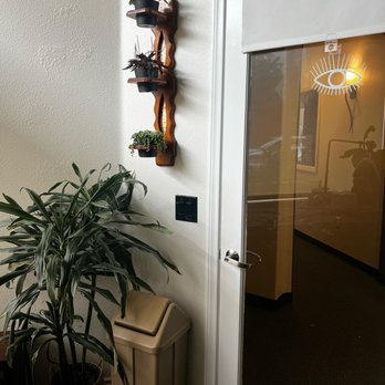 Aesthilex - Welcome to AesthiLexi - Eyebrow Services Near Me - Beverly hills, California