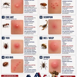 AAA Pest Control