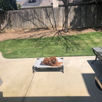 4 Paws Country Inn - Pet Boarding Near Me - Selma, California 4 Paws Country Inn - Pet Boarding Near Me - Selma, California