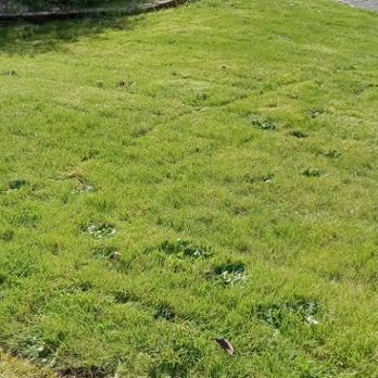 Mariano Landscaping - Termine limpiando cesped - Landscaping Near Me Mariano Landscaping - Termine limpiando cesped - Landscaping Near Me