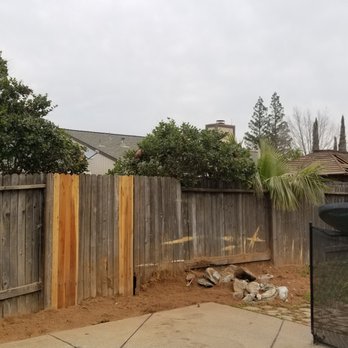 Doug Petersen Tree Service - AFTER- completely cleaned out and now we have much more room in our backyard! - Tree Services Near Me - Sacramento, California Doug Petersen Tree Service - AFTER- completely cleaned out and now we have much more room in our backyard! - Tree Services Near Me - Sacramento, California